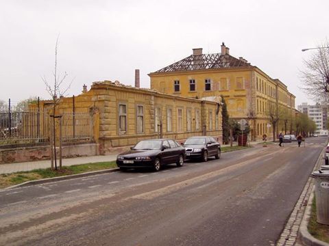 Foto 19